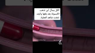 اين تذهب الكبسولة بعد بلعها