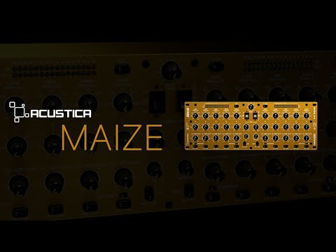 MAIZE | Acustica & Markbass