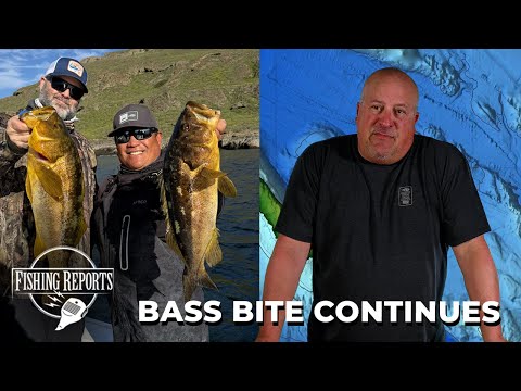 Southern California Bight FISHING REPORT 01/29/2026