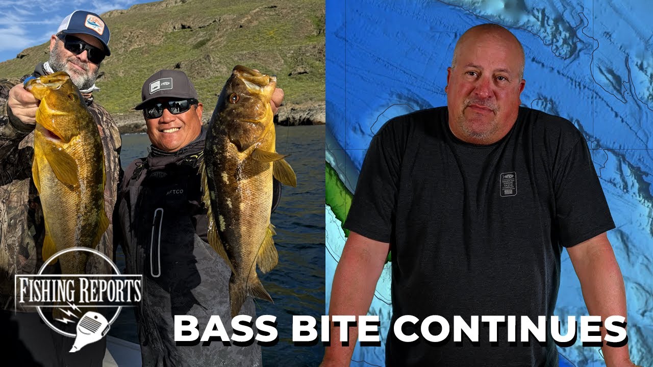 Southern California Bight FISHING REPORT 01/29/2026
