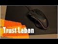 Mouse y Pad Trust: Periféricos desde Europa! REVIEW