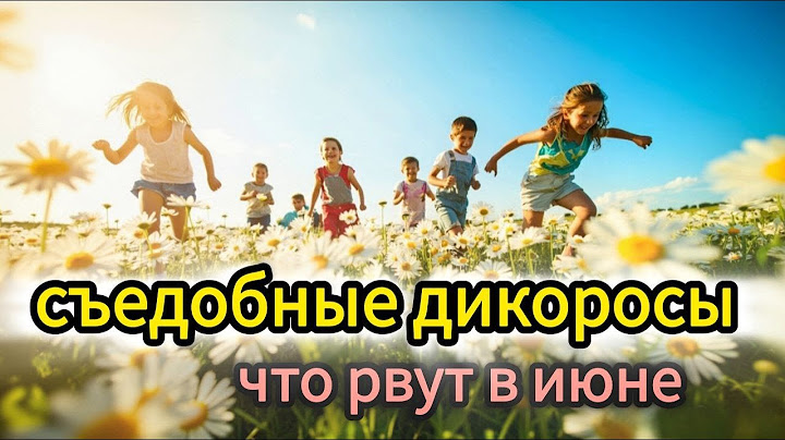 Дикие, но вкусные. Что собирают знающие в июне — ты удивишься.