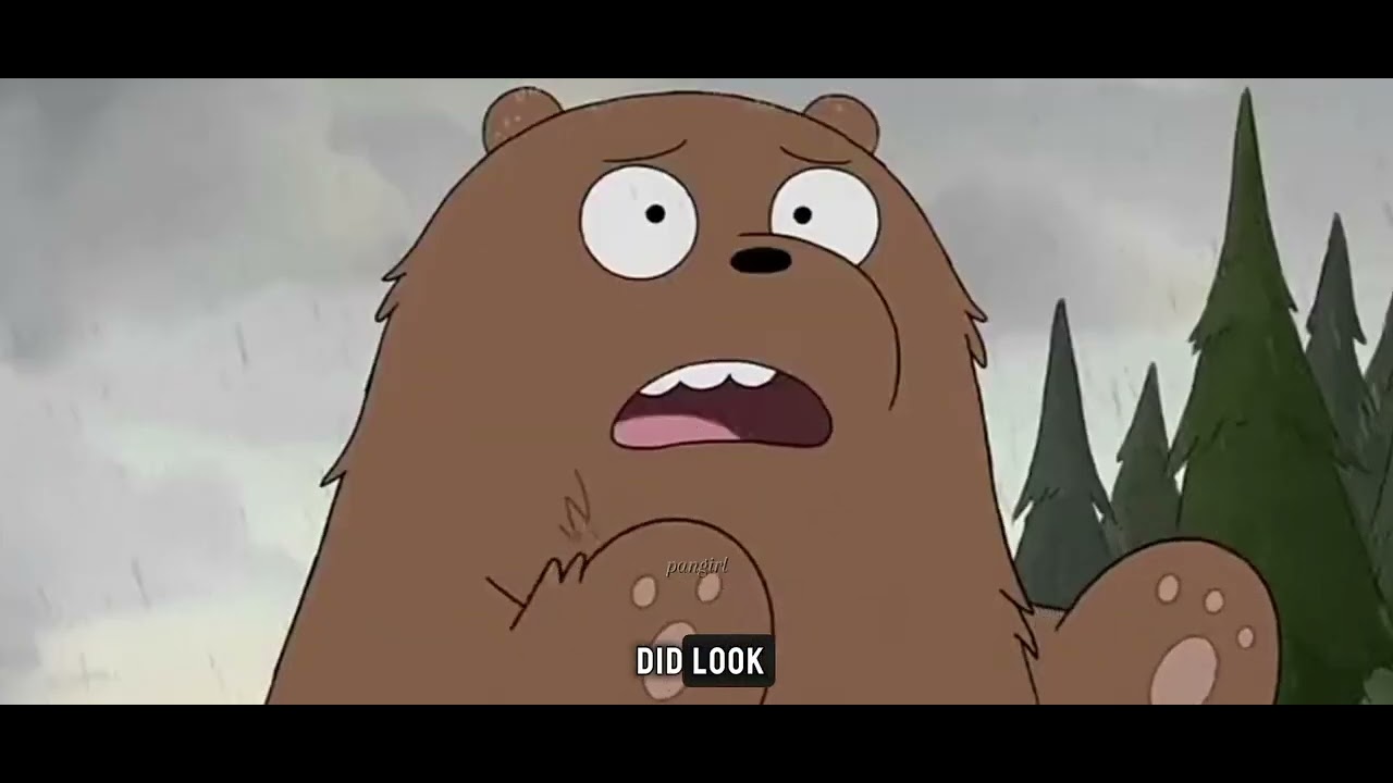 webarebears_we are not brothers💔🐻🐼🐻‍❄️ 