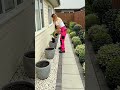 Small Garden Makeover Ideas That Actually Work