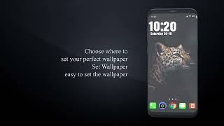 Beautiful Leopard Wallpaper 4K