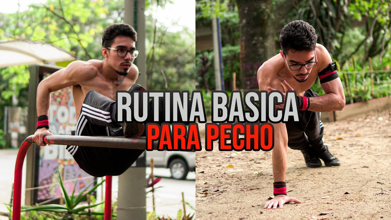 RUTINA DE PECHO PARA PRINCIPIANTES - CALISTENIA - YouTube