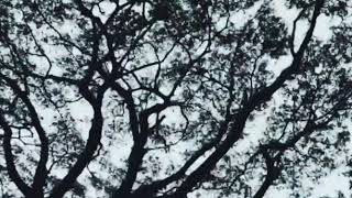 PANDEGLANG BERKAH