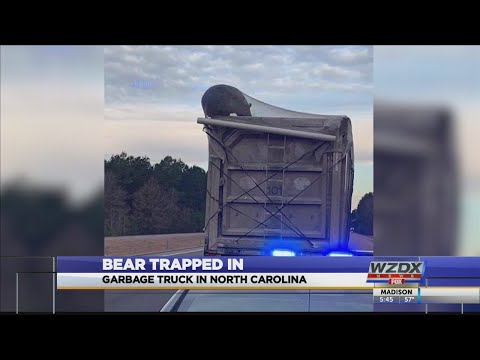 Bear Trapped In Garbage Truck Youtube - trash townroblox garbage simulatorep 1