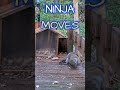 NINJA MOVES 😳🐿️🥋