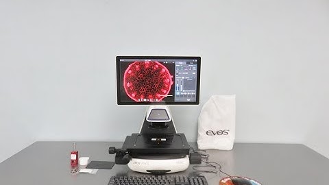 Evos M5000 Imaging System Video ID 21417