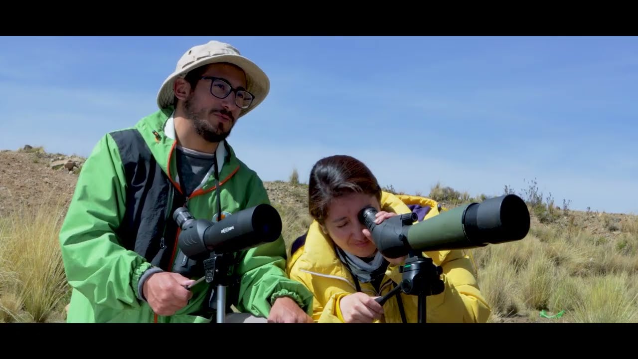 Aviturismo - Turismo El Alto