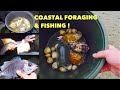 COASTAL FORAGING & BAIT FISHING ! Oysters ,Cockles Cooked While Fishing !