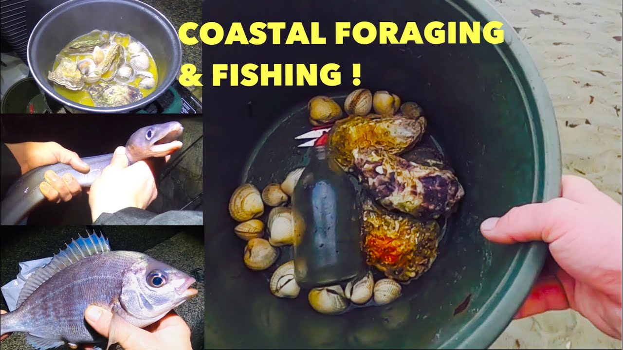 COASTAL FORAGING & BAIT FISHING ! Oysters ,Cockles Cooked While Fishing !