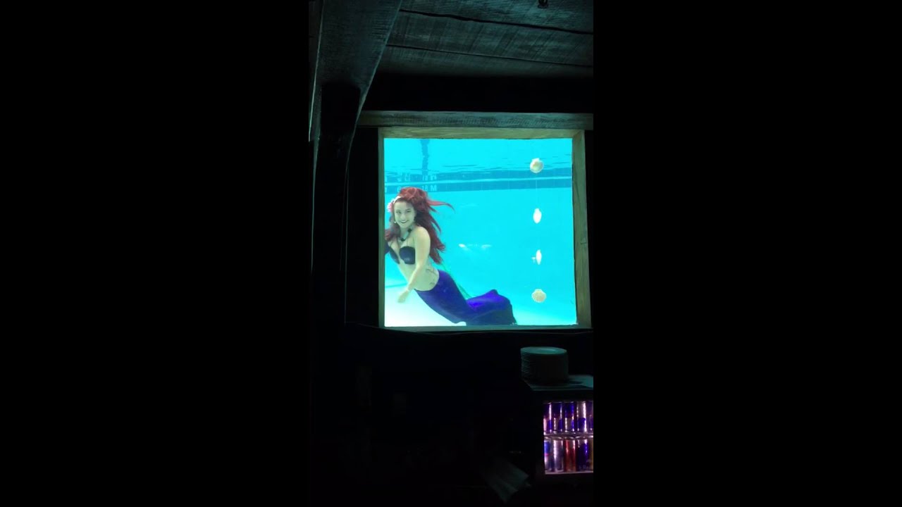 Mermaids swimming in the bar in Fort Lauderdale Florida YouTube