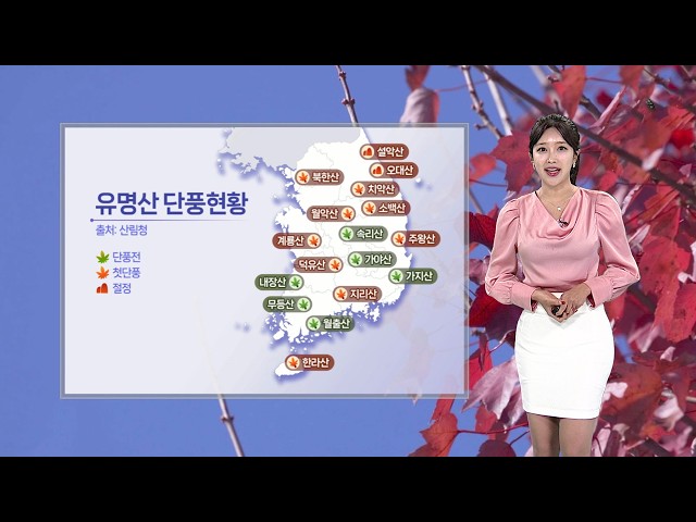 [날씨] 단풍 물드는 맑고 포근한 가을 날씨…내일은 전국에 비바람 / 연합뉴스TV (YonhapnewsTV)