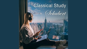 Schubert: String Quartet No. 1 (In Various Keys) , D. 18 - II. Menuetto