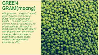 Green Gram Moong Rich In Nutrients