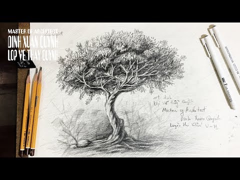 how to draw Trees with pencil - architecture daily sketches (cách vẽ cây bằng bút chì) how to draw Trees with pencil - architecture daily sketches (cách vẽ cây bằng bút chì)