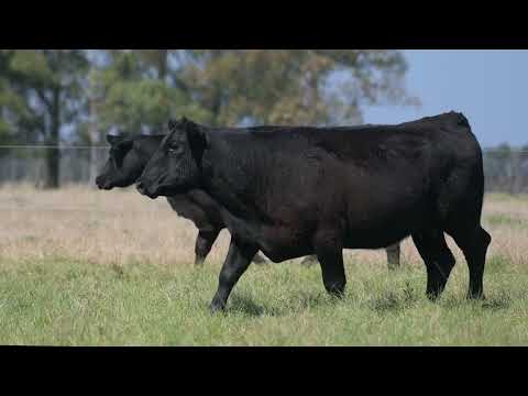 LOTE 60 1464 E 1520