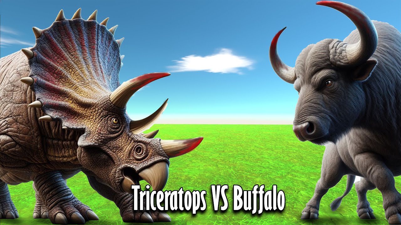 Triceratops VS  Buffalo - Super Heavy Clash - Who win?