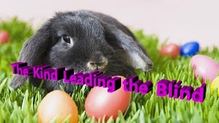 The Easter Egg Hunt Requiring Adult Intervention