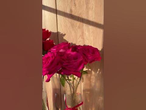 Розы дольше стоят в холоде на балконе 🌹 - YouTube