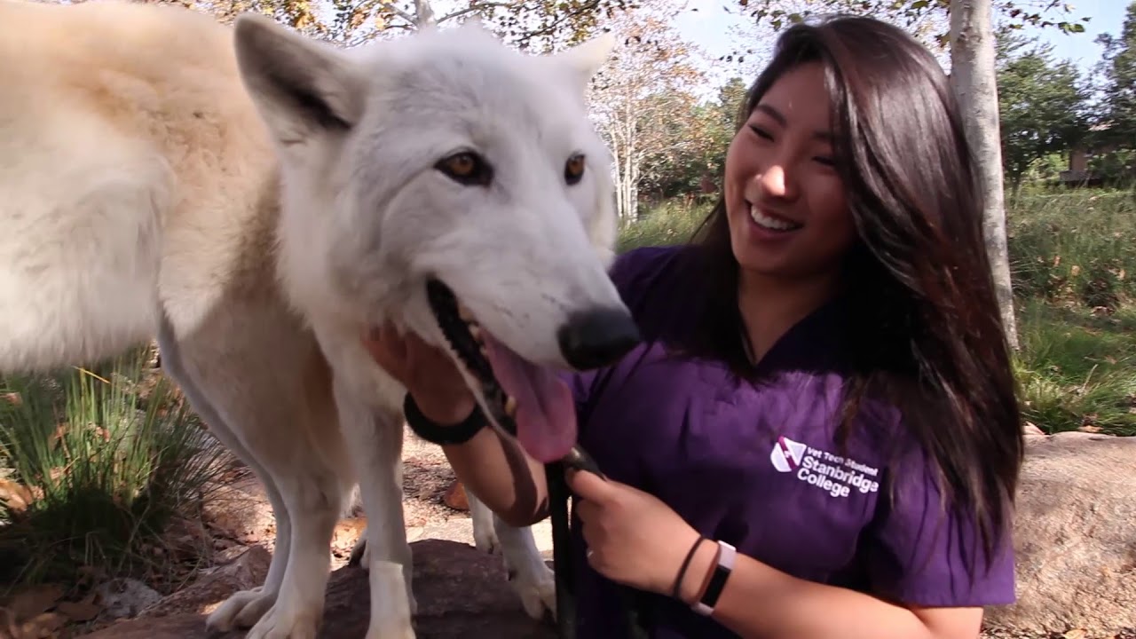 Stanbridge University Vet Tech Students Work to Educate the Public