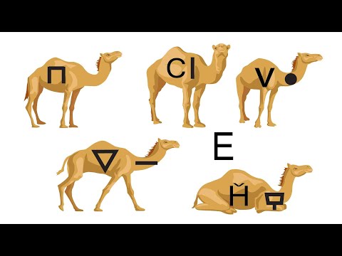 وسم ووسوم الأبل فى سيناء أنواعها واشكالها وموعدها وحكمها الشرعي قناة فوزي الشوربجي