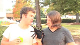Toy Spider PRANK in the City.!! screenshot 5