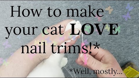 How to trim your cat