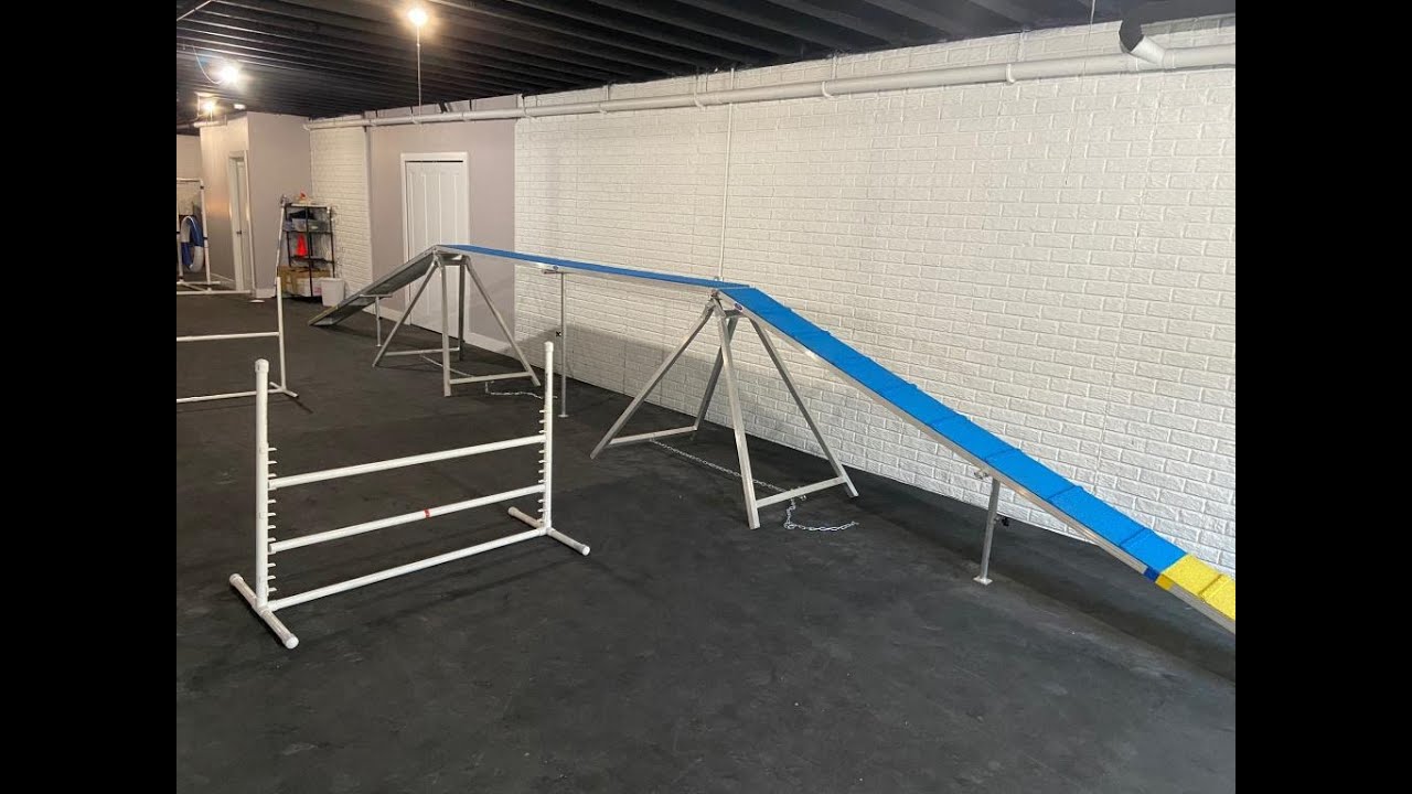 dog training floor mats