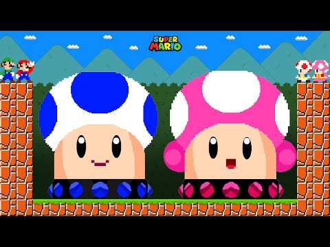 Can Mario Collect Ultimate Toad - Toadette Switches in New Super Mario Bros.Wii?? | WIN Game Mario