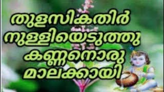 Thulasikkathir  nulliyeduthth kirshna song