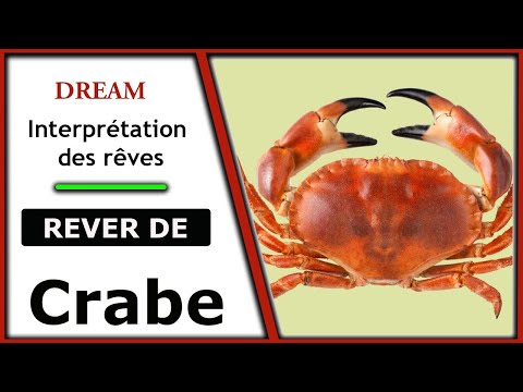Vidéo: Qu'est-ce que cela signifie quand vous rêvez de crabes?