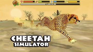 Cheetah Simulator Android Gameplay Trailer [HD]