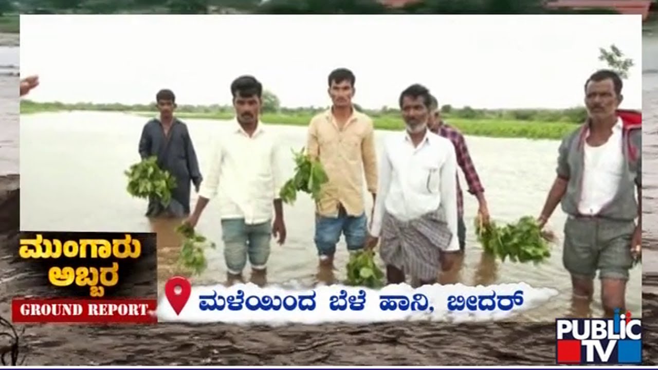 Heavy Rain Damages Crops In Bidar | Public TV - YouTube