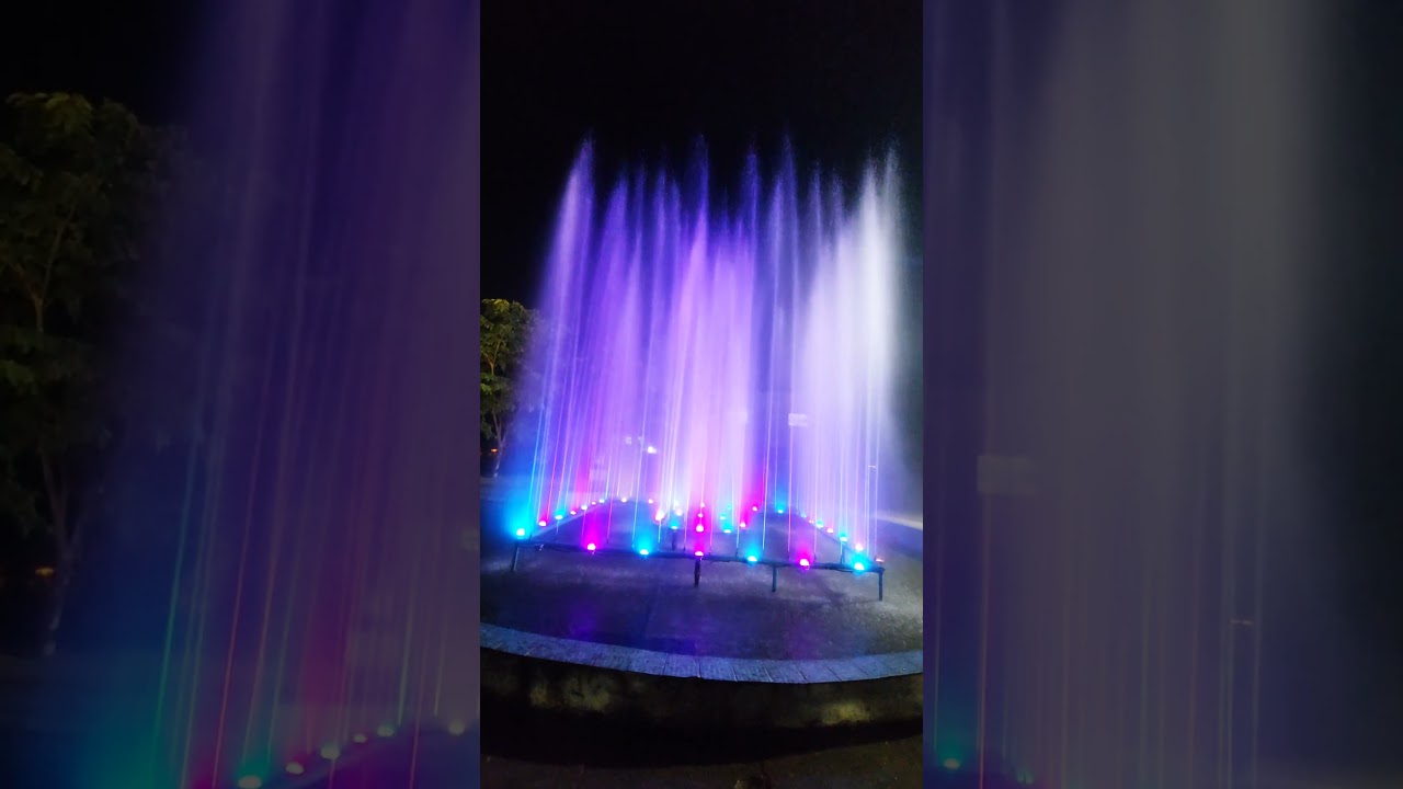 Race Course Park Lahore Festivial 2024 Gul e Dawoodi Exhibition 