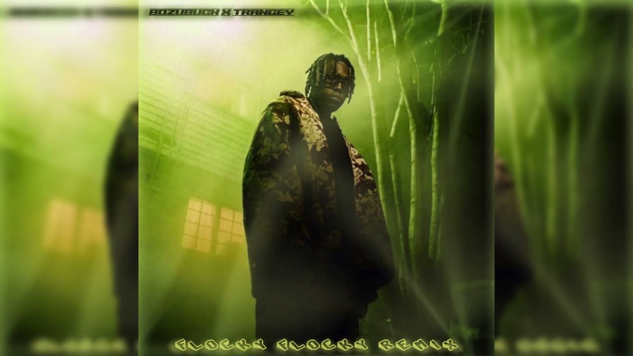 Don Toliver - Flocky Flocky (Bozubuck & Trancey Remix)