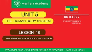 BIOLOGY GRADE 11 UNIT 5 LESSON 18 THE HUMAN REPRODUCTIVE SYSTEM