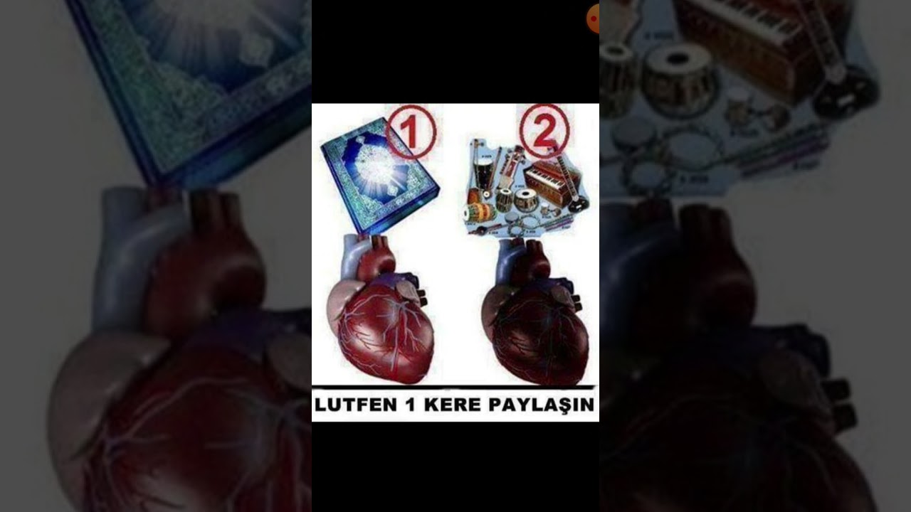 Allahın emrin uymaq lazım