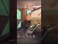 When a radiant uses a Vandal