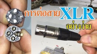 การ ต่อ สาย xlr