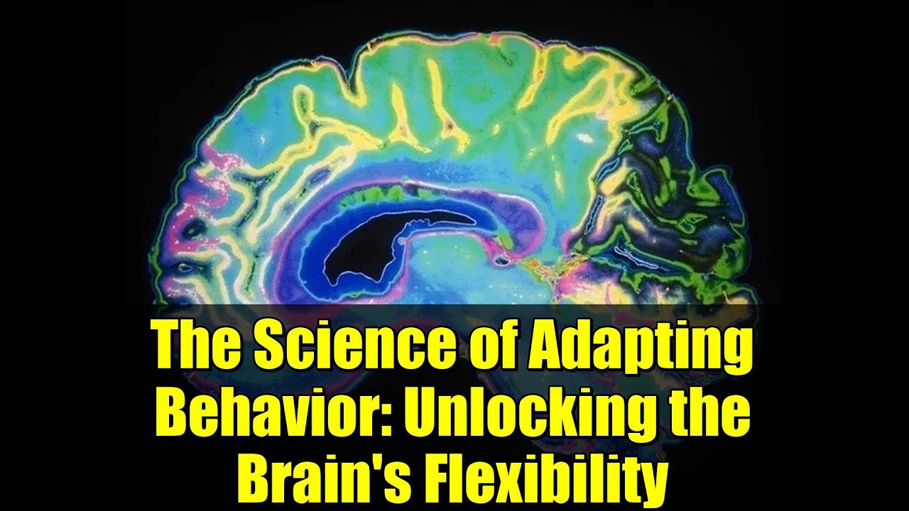 The Science of Adapting Behavior: Unlocking the Brain's Flexibility