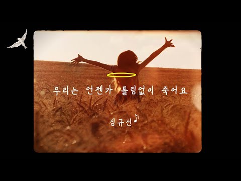 [Official Lyric Video] 심규선 - 우리는 언젠가 틀림없이 죽어요