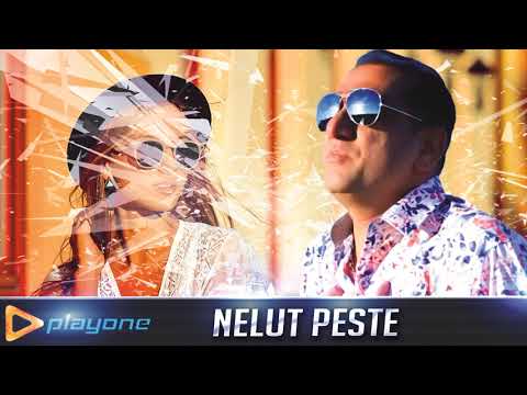 NELUT PESTE - Nu te pui cu blondele 2018