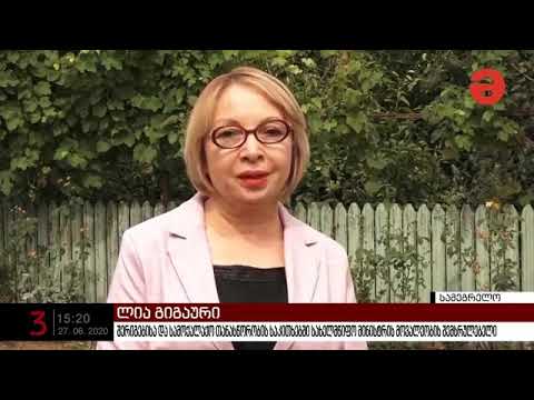 გამყოფ ხაზთან მცხოვრებ შშმ ბავშვებს საჩუქრები გადაეცათ