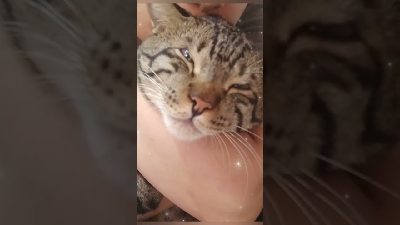 cutest thing on internet ❤️❤️❤️