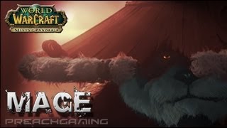 5.3 Arcane Mage Basic DPS Guide