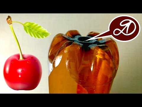 How To Harvest Cherry On High Tree? DIY Cherry Harvester. The Use Of PET Bottles