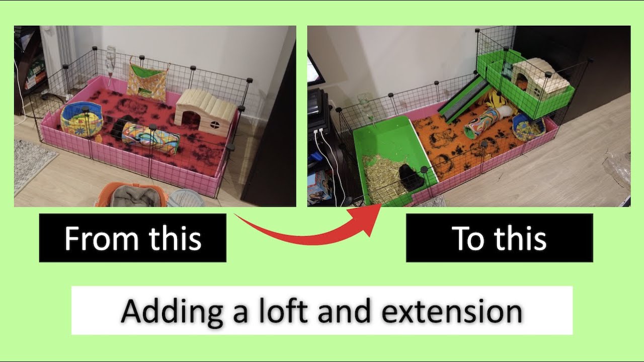 Adding a loft and extension to my Guinea Pig C&C indoor setup!
